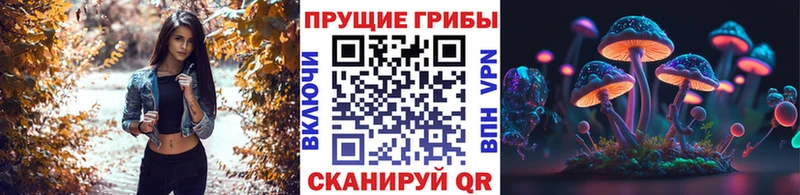 сколько стоит  Калачинск  Псилоцибиновые грибы прущие грибы 